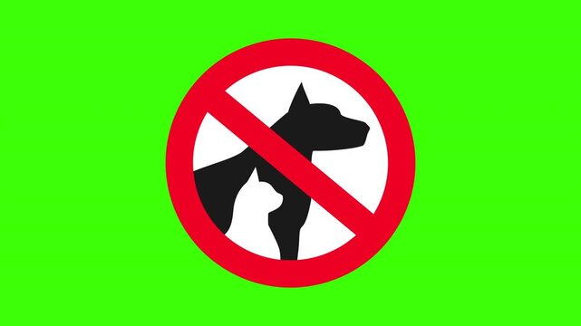 no pets dog cat sign animation green screen video footage