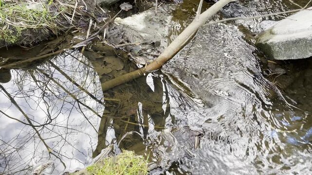 Spring thaw