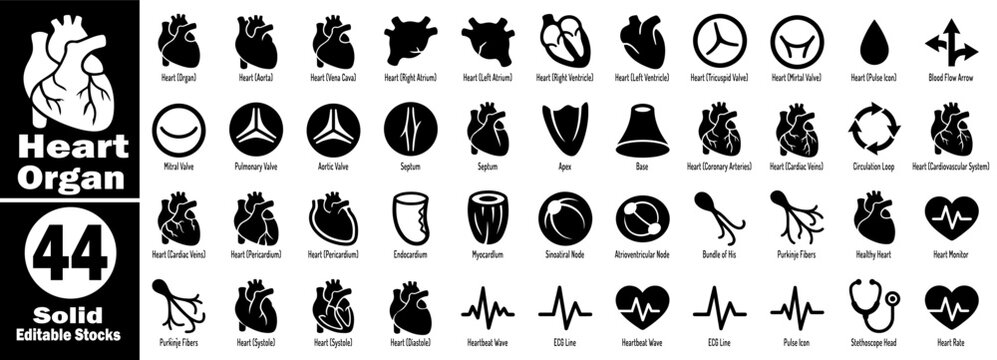 Heart organ solid icons set. Heart outline illustration icons. heart symbol for web and mobile. Solid editable stock vector illustration.