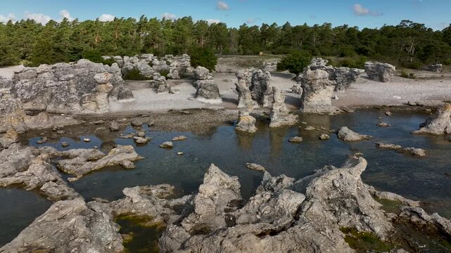 Drone orbiting close around limestone sea stacks at Folhammar raukf&auml;lt, Gotland, Sweden with a man walking a dog along the rocky Baltic Sea coastline