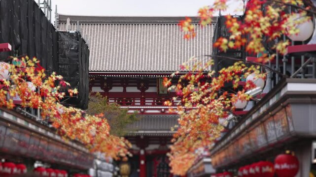 Senso-Ji temple in Asakusa district,  Taito City, Tokyo, Japan, Asakusa Kannon, Kinryu-zan Buddhist temple shrine in autumn fall day, with Nakamise shopping street, Kaminarimon Gate and Hozomon gate