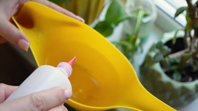 Using a bottle of hydrogen peroxide to apply liquid to a yellow watering funnel