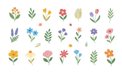 Adorable set spring and summer floral set with flowers, leaves, berries. Greeting cards, invitation Pastel hand drawn vector.  For Mother's Day, Easter, Women's Day, holiday invitation, banner © Pattern.dreamshop