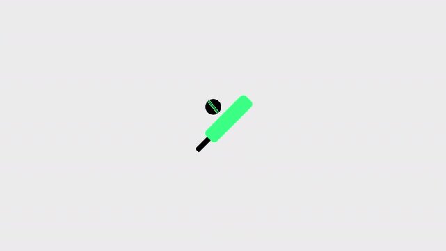 Cricket bat and ball icon