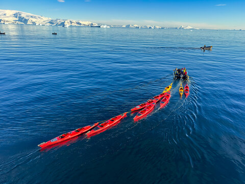 Views from an Antartica and South Gergia and falklands Isalnds expedition