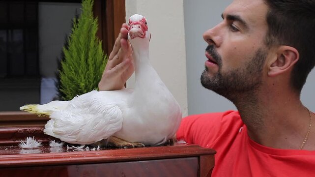 Adorable man with his domestic duck 