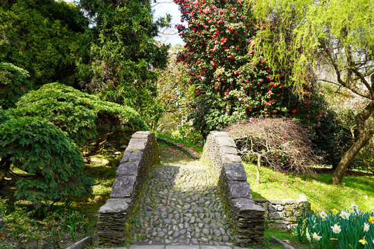 Kleine Steinbr&uuml;cke &uuml;ber Bach in botanischen Garten - Lago Maggiore - Verbania