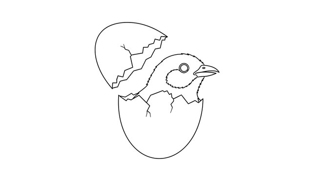Hatching bird from cracked eggshell isolated on a transparent background