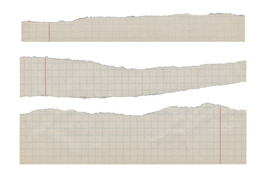 Set of three torn graph paper strips on transparent background