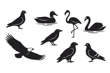Obraz premium Collection of bird silhouettes including eagle duck flamingo and swan isolated on transparent background