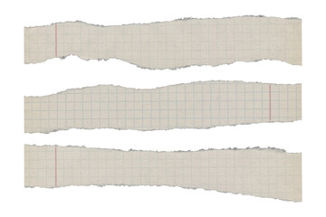 Naklejka premium Set of three jagged grid paper fragments on transparent background