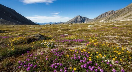 Fototapeta premium Scenic Mountain Valley with Vibrant Wildflowers and Clear Sky Landscape