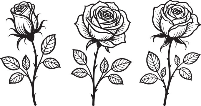 Black and white line of three roses with thorns line roses flowers