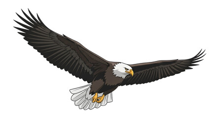 Fototapeta premium Bald eagle in flight with outstretched wings.