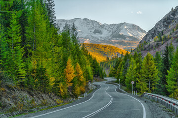 Fototapeta premium Landscape of the Altai Mountains in Siberia, Altai Republic, Russia
