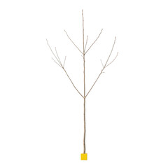 Fototapeta premium Minimalist illustration of a leafless tree with a yellow base and thin branches