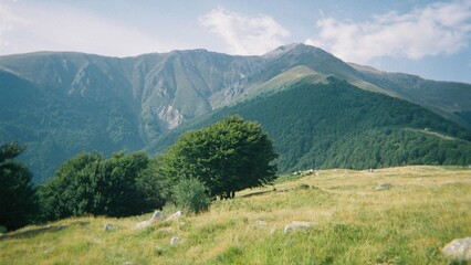 Obraz premium photo de paysage 