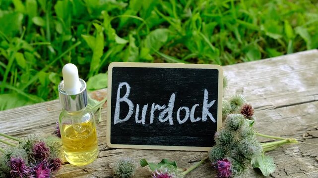 Burdock supplements in nature. Selective focus.