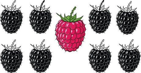 Raspberry among blackberries illustration, colorful berry contrast concept, fresh fruit vector design, healthy food pattern, vibrant raspberry standout artwork © Shirina