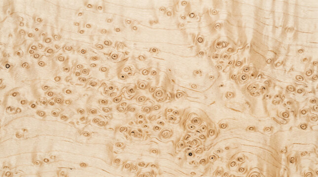 Birds Eye Maple Wood Grain with Distinctive Eye Pattern
