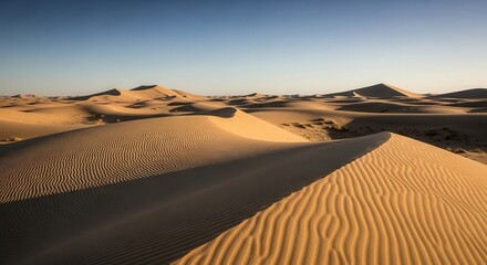 Naklejka premium Serene Desert Landscape Featuring Rolling Sand Dunes Under Clear Sky