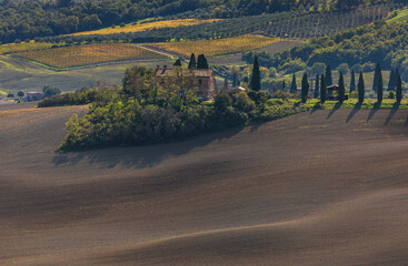 Naklejka premium Tuscan farmhouse in a rural landscape of Val d'Orcia, Italy.