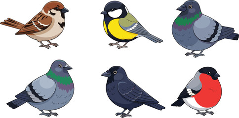 Vintage Hand Sketched Wild Bird Species Vector Set Featuring Sparrow Titmouse Pigeon Crow and Bullfinch with Etched Texture for Garden Nature and Urban Wildlife Graphic Designs © Fahim