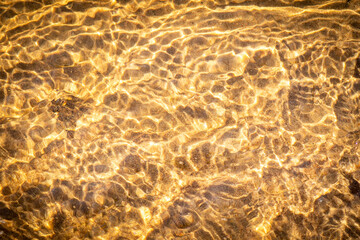A clear stream of river water flows over a sandy-pebbly bottom on a sunny day. Sunlight creates golden wavy patterns on the surface and bottom of the reservoir. The water is shallow and has a warm gol © Alexei Vinnikov
