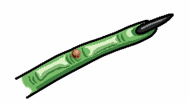 Green severed finger with black nail and wart.