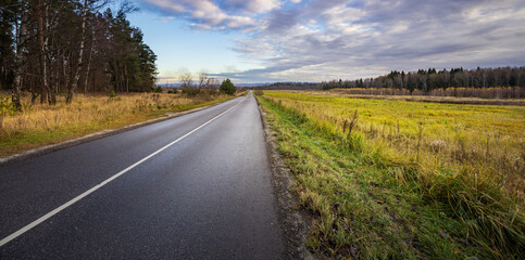 Fototapeta premium Winding road runs between forest and meadow
