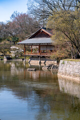 Obraz premium Springtime in Japanese garden featuring reflective pond and classic wooden veranda structure