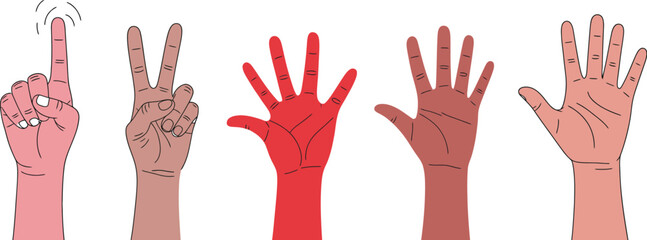 Fototapeta premium Female Hands Vector Set Featuring Different Nationalities and Gestures for Feminism, Equality, Freedom and Independence Concept, International Women’s Day, Diversity and Empowerment Illustration