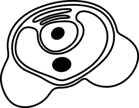 Pollen grain cell line art illustration. Vector sketch of microscopic biological structure isolated on white