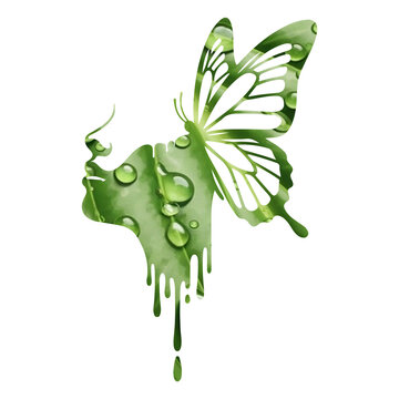 Nature's transformation: A serene woman's profile merges with a vibrant green butterfly and water droplets.