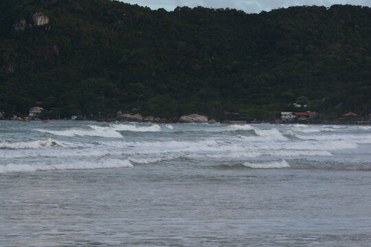 mariscal - sc