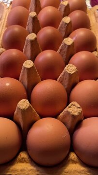 Vertical warm light brown eggs in display, artisan market stall vibe with rustic cartons and tactile shells, inviting produce scene 