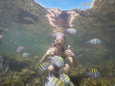 garota mergulha com peixes no mar 