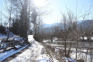 Fototapeta premium Picturesque view of trees, snow and mountains on winter day