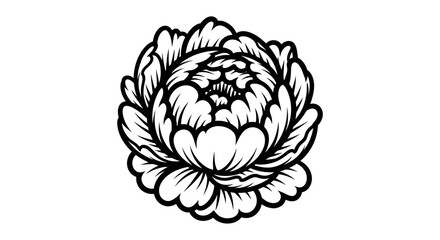 Black and white peony flower illustration in stylized graphic art © musa