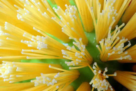 Sp&uuml;lb&uuml;rste