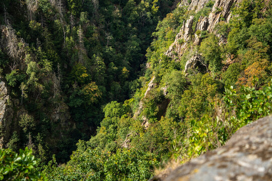 Gr&uuml;nes Bodetal im Harz Thale l&auml;dt zum Wandern ein