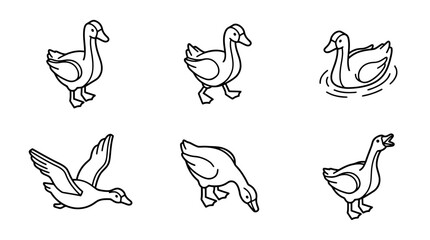 Obraz premium goose , 6 black line isometric 3d vector collection , white background , PNG and SVG isolate