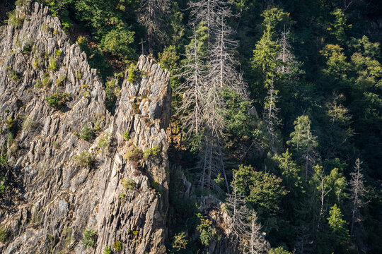Raues Steinmassiv im Bodetal Thale