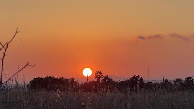 puesta de sol en la playa . 