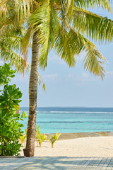 Fototapeta premium Classic Maldives island landscape on a sunny day, sea view through the palm tree and the beach, coastal luxury resort buildings, azure water, white sand, palm trees on the shore