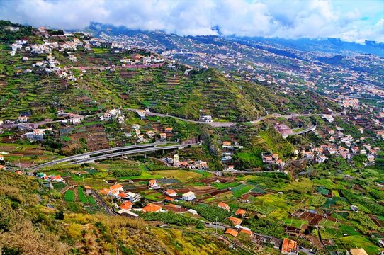 Scenic Mountain Landscape with Terraced Fields and Overpass in Madeira, Portugal