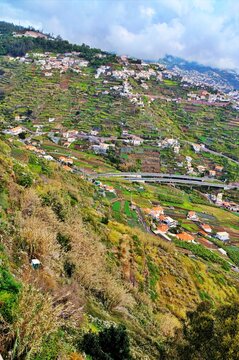 Terraced Hillside Village and Highway Overpass in Madeira, Portugal