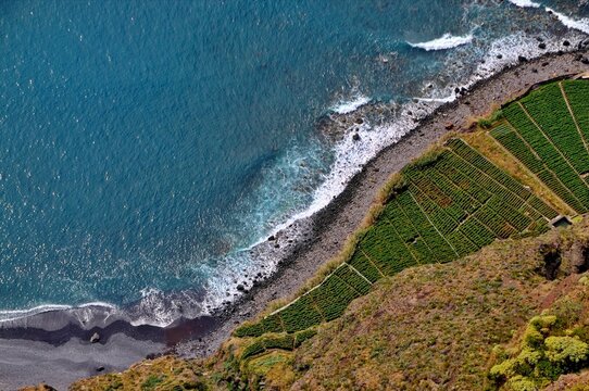 A stunning aerial perspective shows vibrant green agricultural terraces cascading down coastal cliffs to a rocky beach and sparkling Atlantic waves.