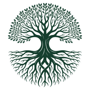 Vector illustration of elegant tree design showcasing detailed crown and sprawling root system suitable for ecology growth and artistic themes