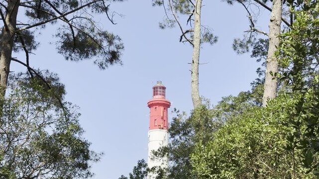 View of Cap Ferret lighthouse semaphore framed between pine trees, emerging above coastal forest with dune and Atlantic Ocean nearby in southwest France